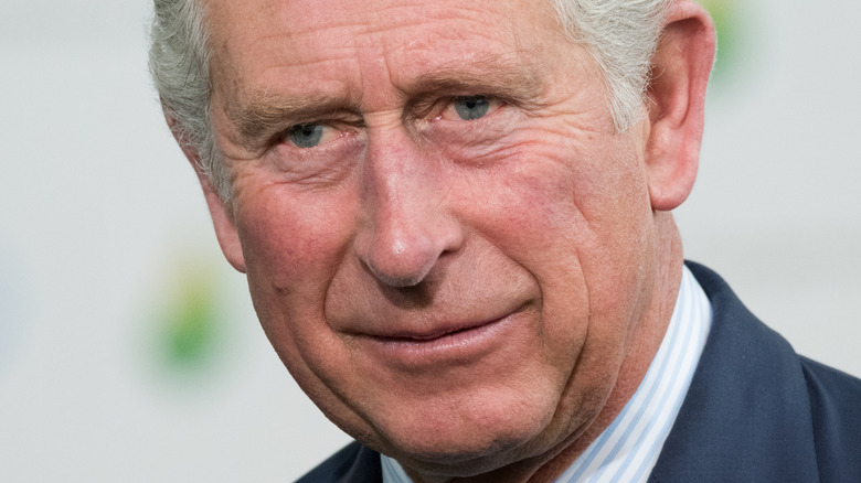 Prince Charles with a slight smile