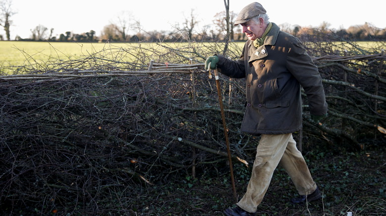 Prince Charles on a nature walk
