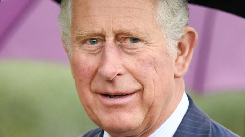 Prince Charles smiling 