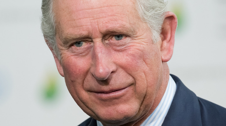 Prince Charles in France 2015