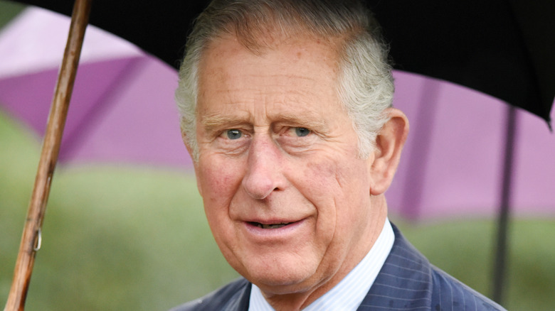 Prince Charles with an umbrella 