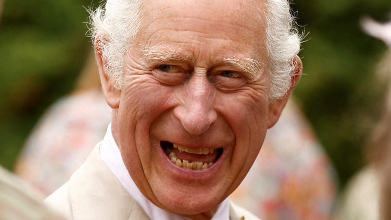 Prince Charles smiling to the public