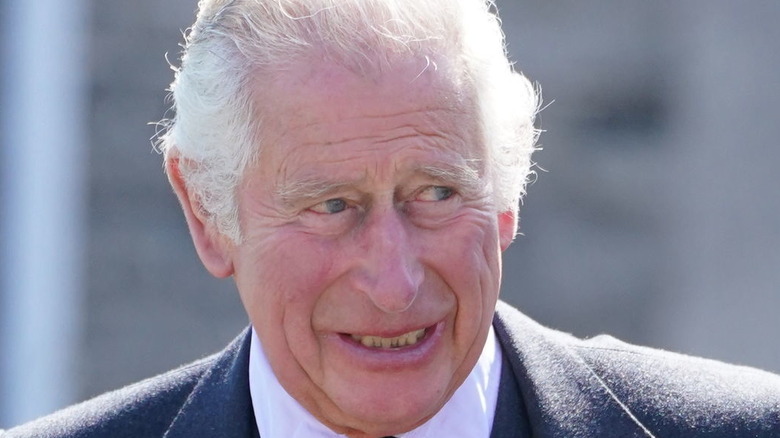 Prince Charles smiling