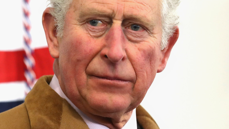 Prince Charles in brown jacket