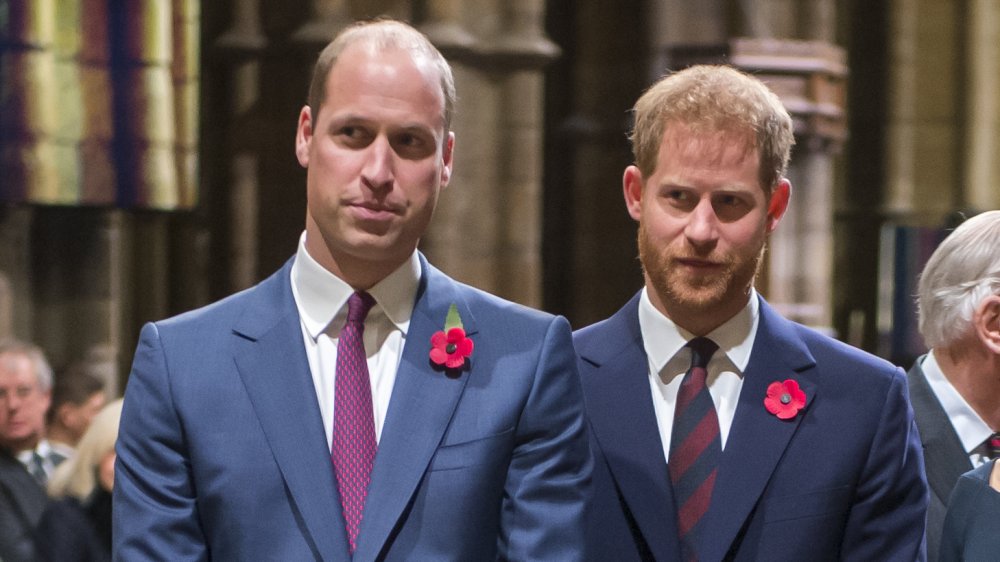 Prince William and Prince Harry