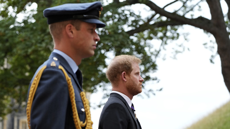 Prince William and Prince Harry at the funeral procession for Queen Elizabeth
