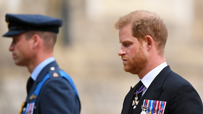 Prince William looks sad with Prince William in the background