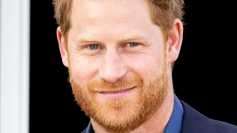 Prince Harry with soft smile on face