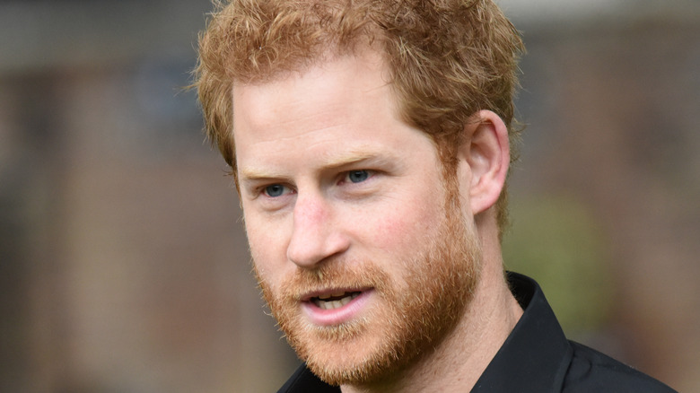 Prince Harry talking 