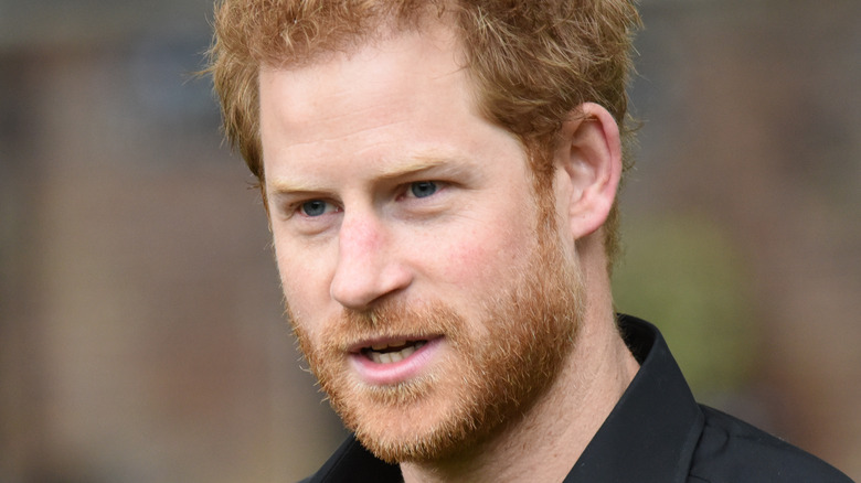 Prince Harry posing