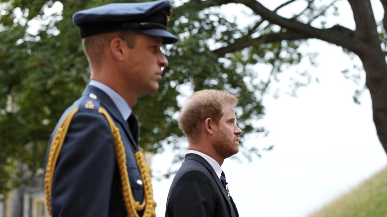 Harry in William's shadow