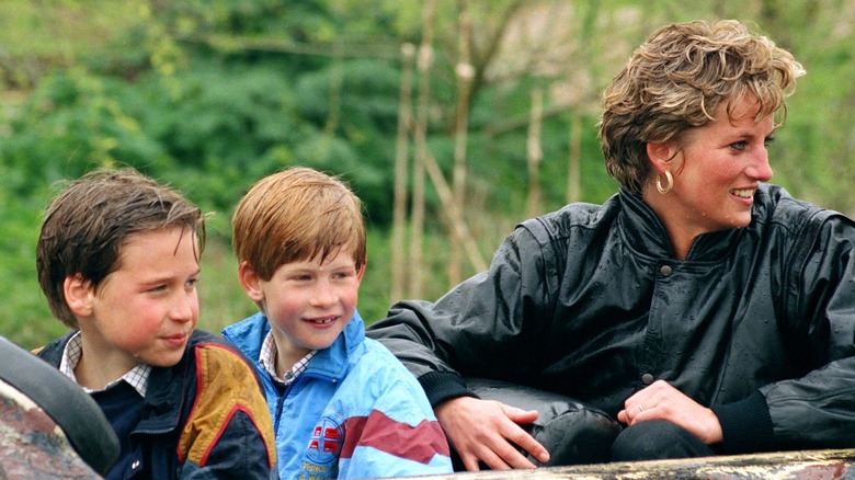 Princess Diana, Prince Harry and Prince William