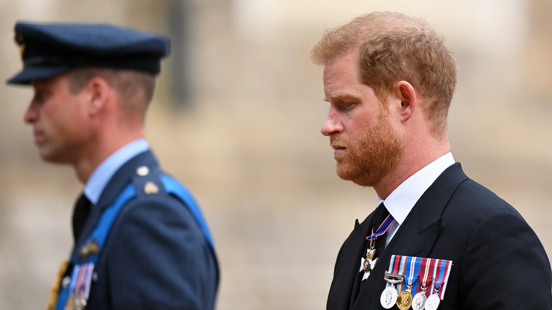 Prince Harry sad with Prince William in the background