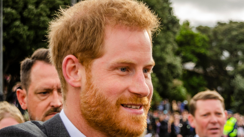 Prince Harry with crowds