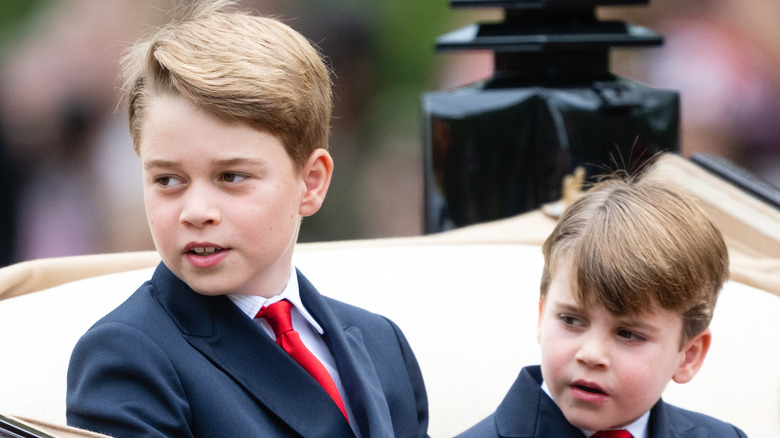 Prince George and Prince Louis sit in a carriage