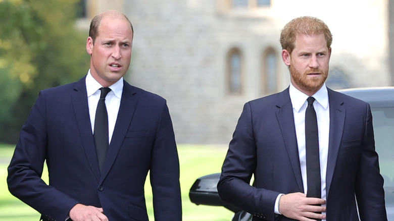 Prince William and Harry