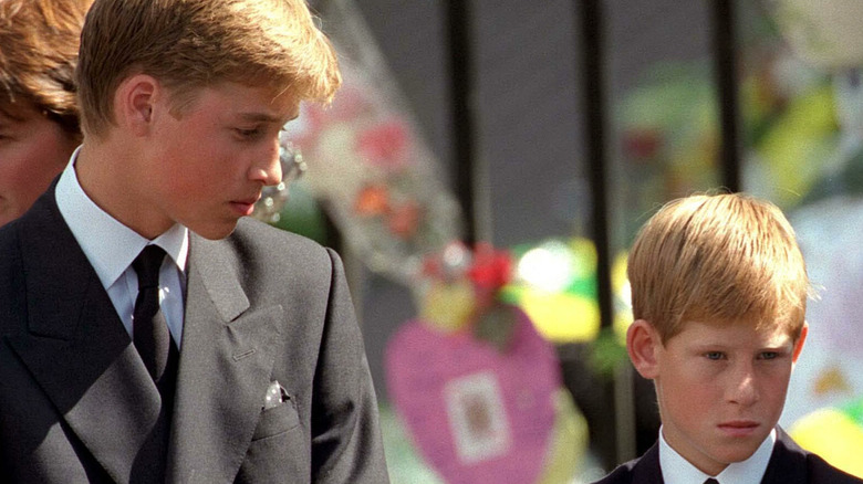 Prince Harry and Prince William