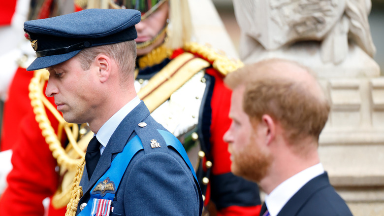 Prince William and Prince Harry in the funeral procession for Queen Elizabeth