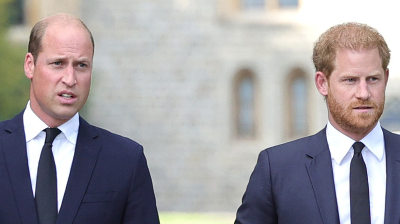 Prince William and Prince Harry walking in Windsor