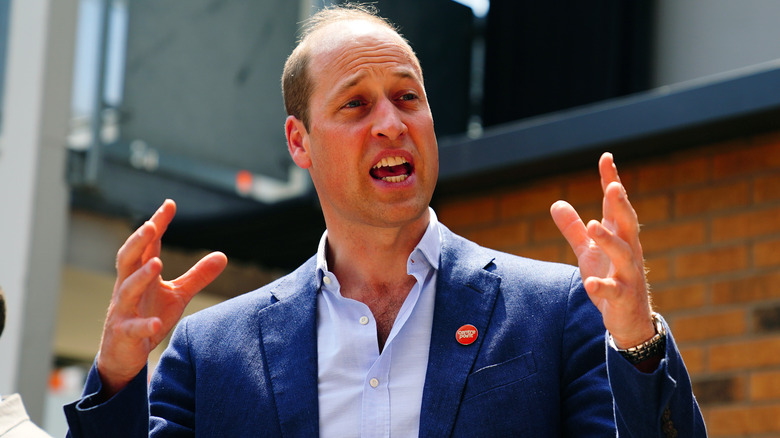 Prince William talking