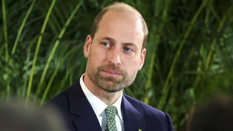 The Nasty Truth About Prince William & His Step-Siblings - cover