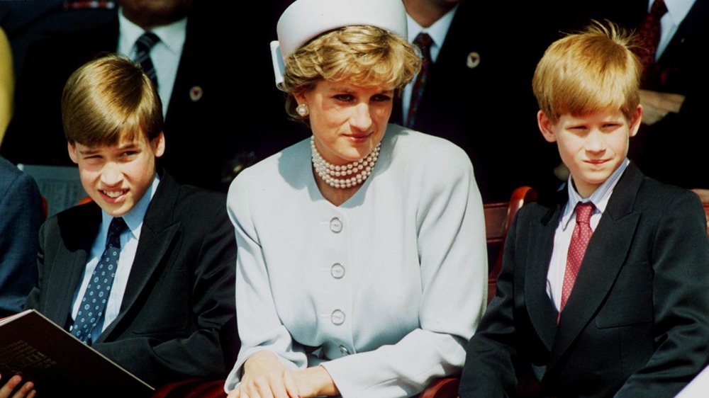 Prince William, Princess Diana, and Prince Harry