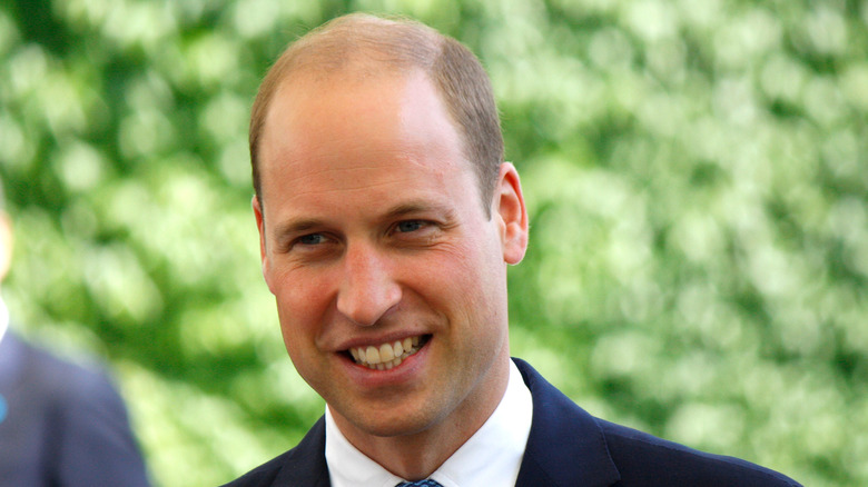 Prince William 2017