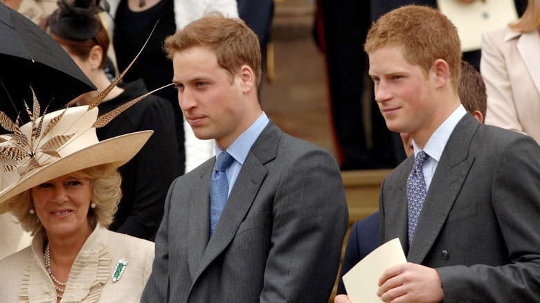 Queen Camilla stands next to Princes William and Harry