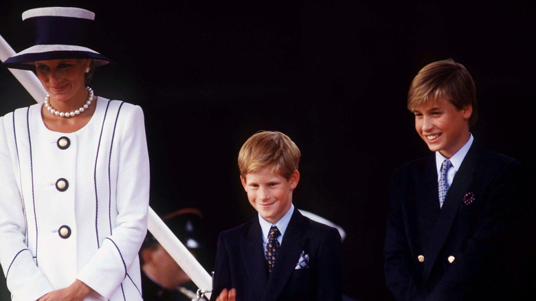 Princess Diana, Prince Harry, and Prince William watching an event together