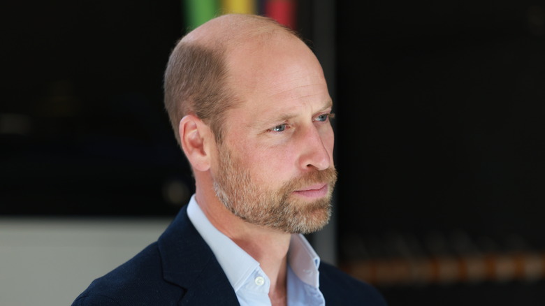 Prince William, profile, 2025