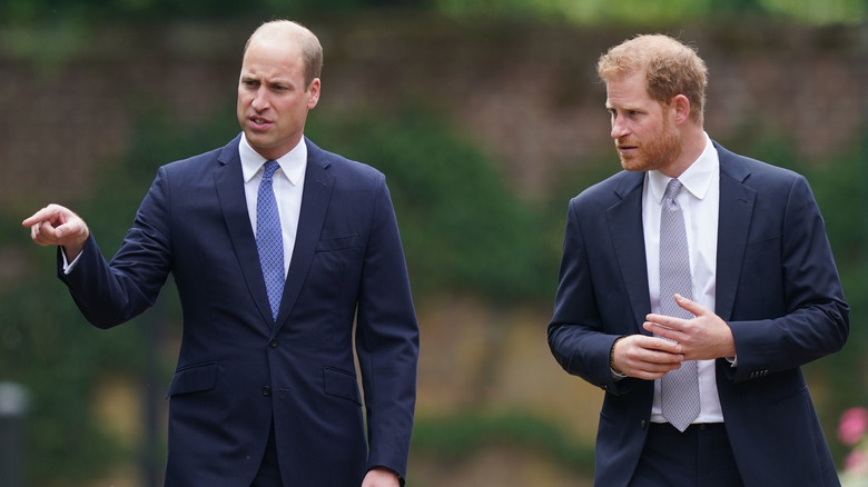 Princes William and Harry walking outside 