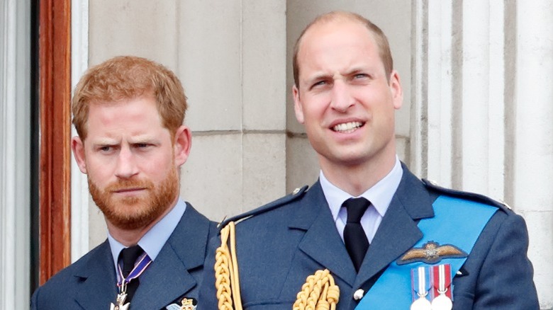 Prince Harry and Prince William standing side-by-side in military uniforms (2018)