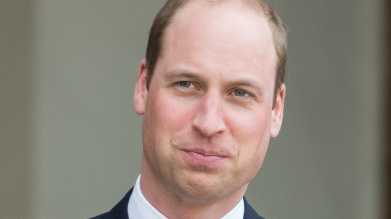 Prince William posing