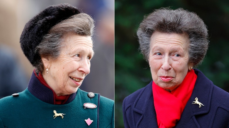 Princess Anne on two separate occasions wearing a horse brooch