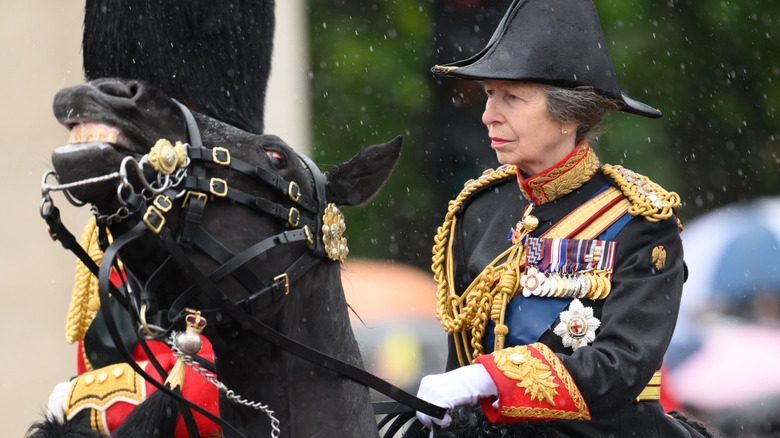 Princess Anne s Most Terrifying Horseback Riding Incidents Princess Anne s Most Terrifying Horseback Riding Incidents