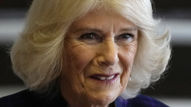 Camilla Parker Bowles