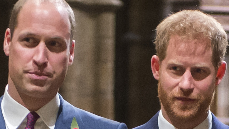 Prince William and brother Prince Harry.