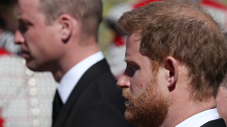 Prince William and Prince Harry at event