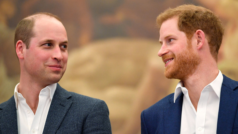 Prince William and Prince Harry at a public appearance