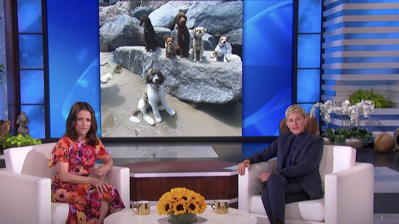 Ellen DeGeneres and Julia Louis-Dreyfus talking on The Ellen Show