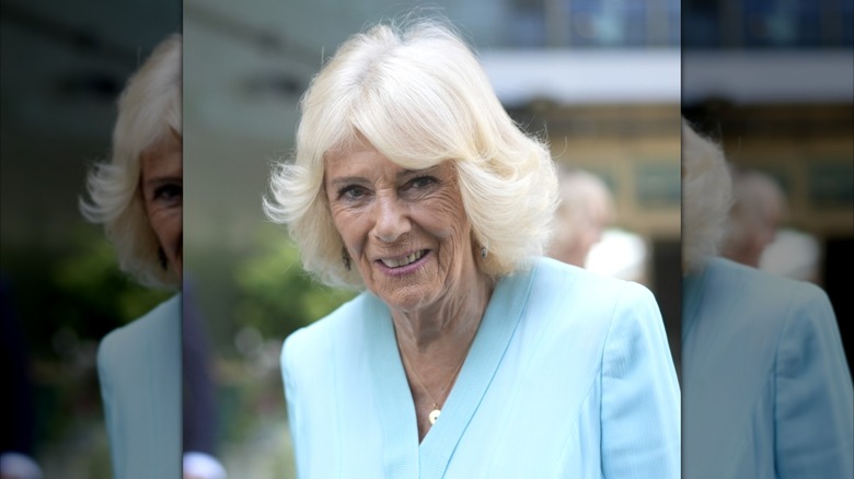 Queen Camilla smiling and wearing an icy blue dress