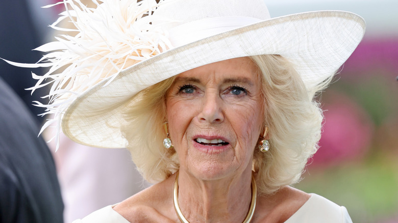 Queen Camilla at the Royal Ascot