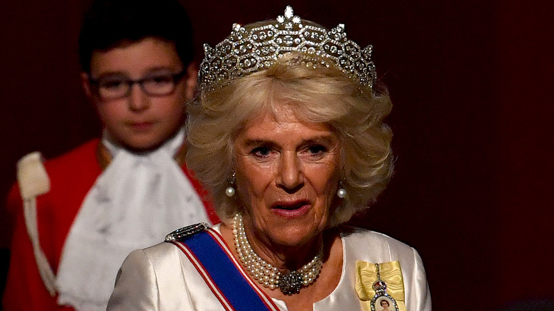 Camilla at parliament opening 