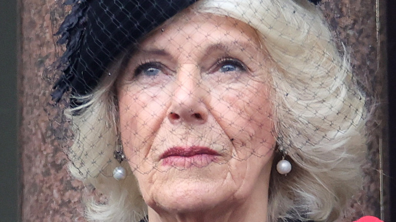 Queen Camilla posing on Remembrance Day