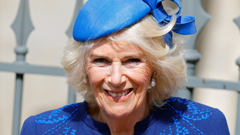 Camilla smiling in 2023 