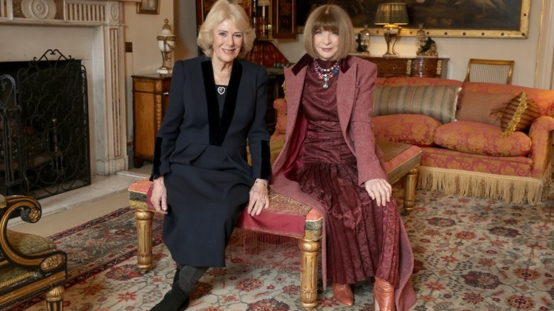 Queen Camilla with Dame Anna Wintour at St James's Palace in London, England (2026)