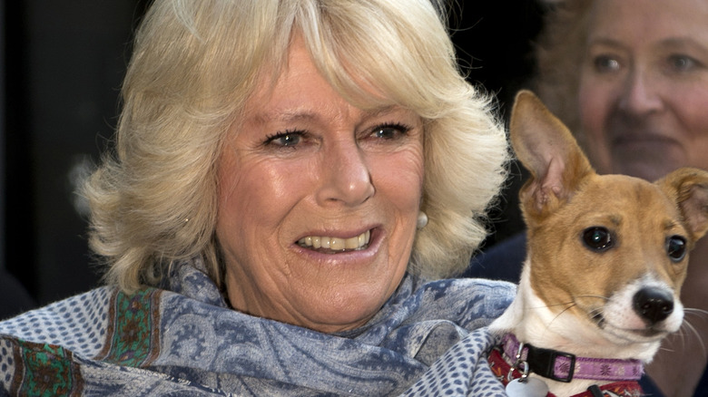 Queen Consort Camilla and her dog 