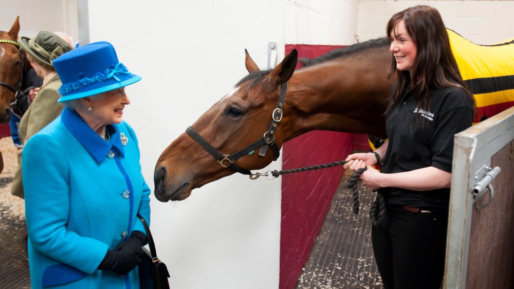 Queen Elizabeth with a horse