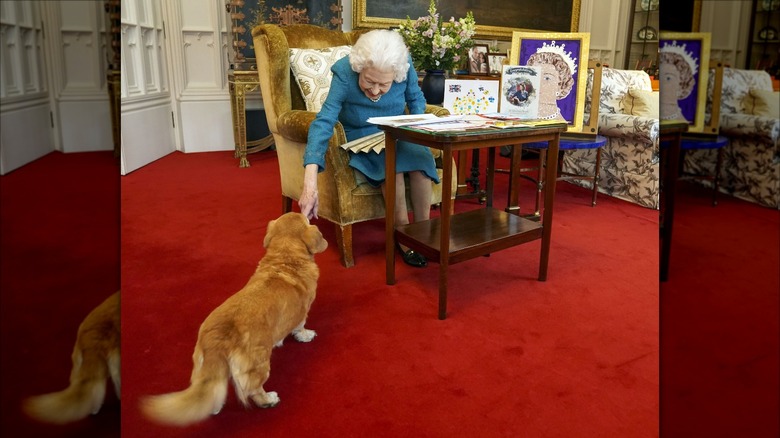 Queen Elizbabeth petting a corgi in Buckingham Palace