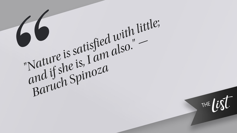 Baruch Spinoza quote